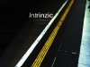 Intrinzic