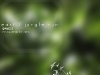 subnetfront